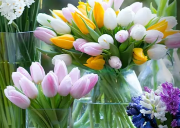Appleyard Flowers: The Perfect Choice for Stunning Floral Bouquets