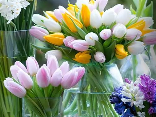 Appleyard Flowers: The Perfect Choice for Stunning Floral Bouquets